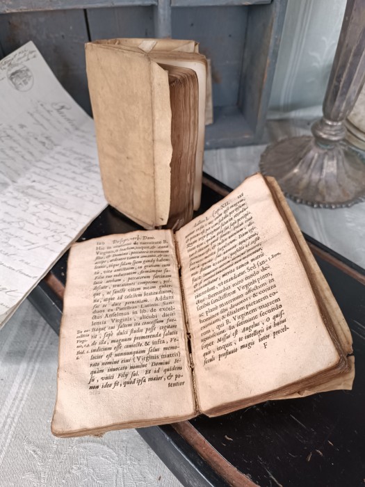 French Brocante - For Sale - 1600's Vellum Bound Books Description: <p>Two small 17th century vellines, vellum bound books, approx 6" by 4", both religious volumes and in rough condition, they could be used for decor with similar objects, as a plinth to display an antique treasure or just own them for the joy of having something that old in your home, one is dated 1618, the other 165</p>
